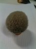 ImageUploadedByTapatalk1319665012.903055.jpg
