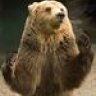 Huggy Bear